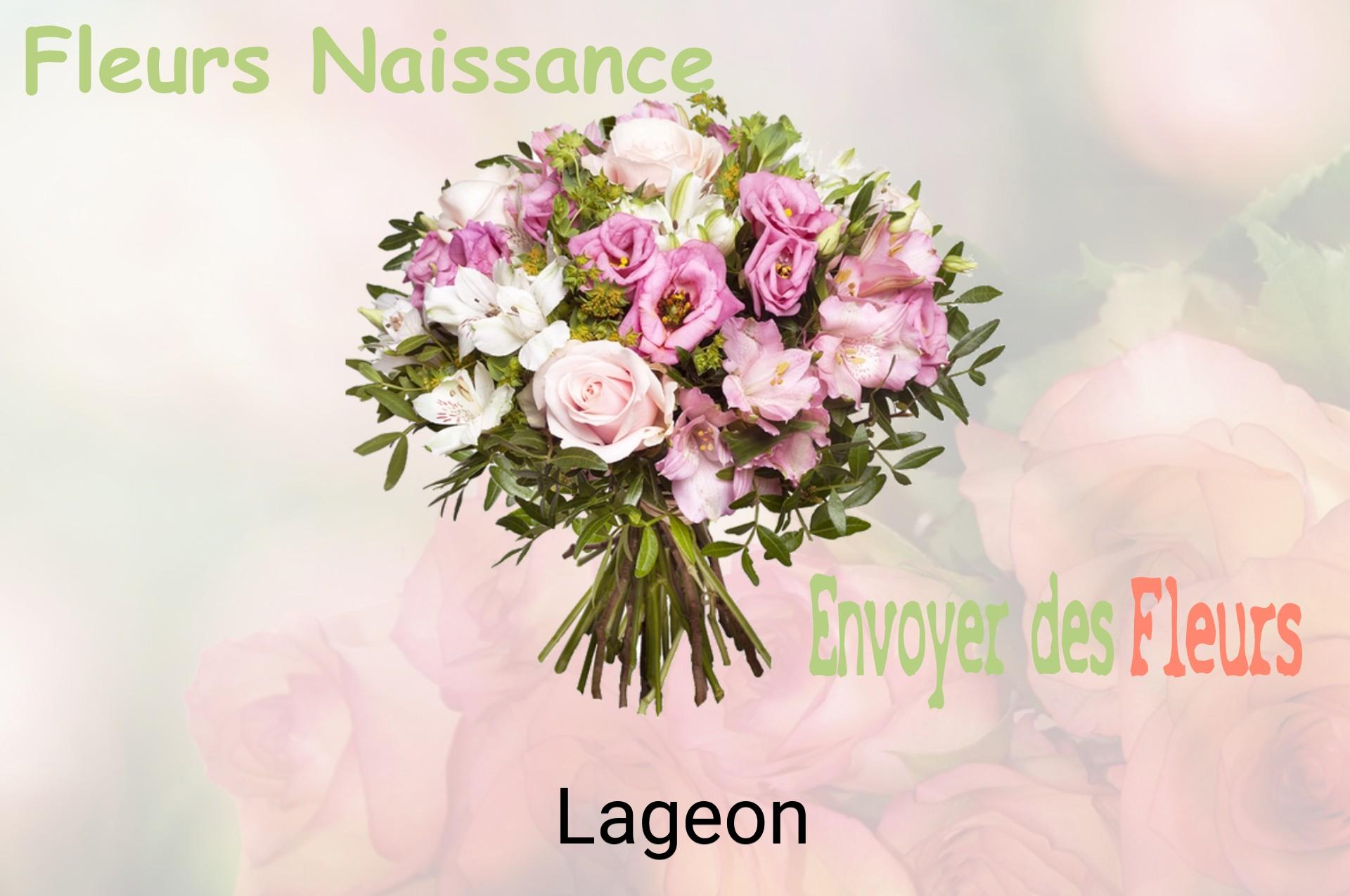 Bouquet de fleurs de naissance livré à Lageon